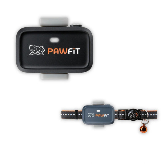 Pawfit Lite Cat Kit | Smallest GPS Cat Tracker + Spare Collar