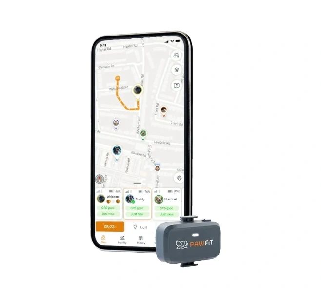 Pawfit Lite GPS Tracker for Dogs | Smallest 4G Activity Monitor | No More Missing Pets!