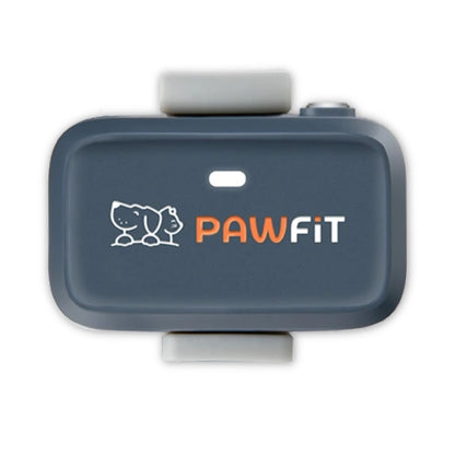 Pawfit Lite GPS Tracker for Dogs | Smallest 4G Activity Monitor | No More Missing Pets!