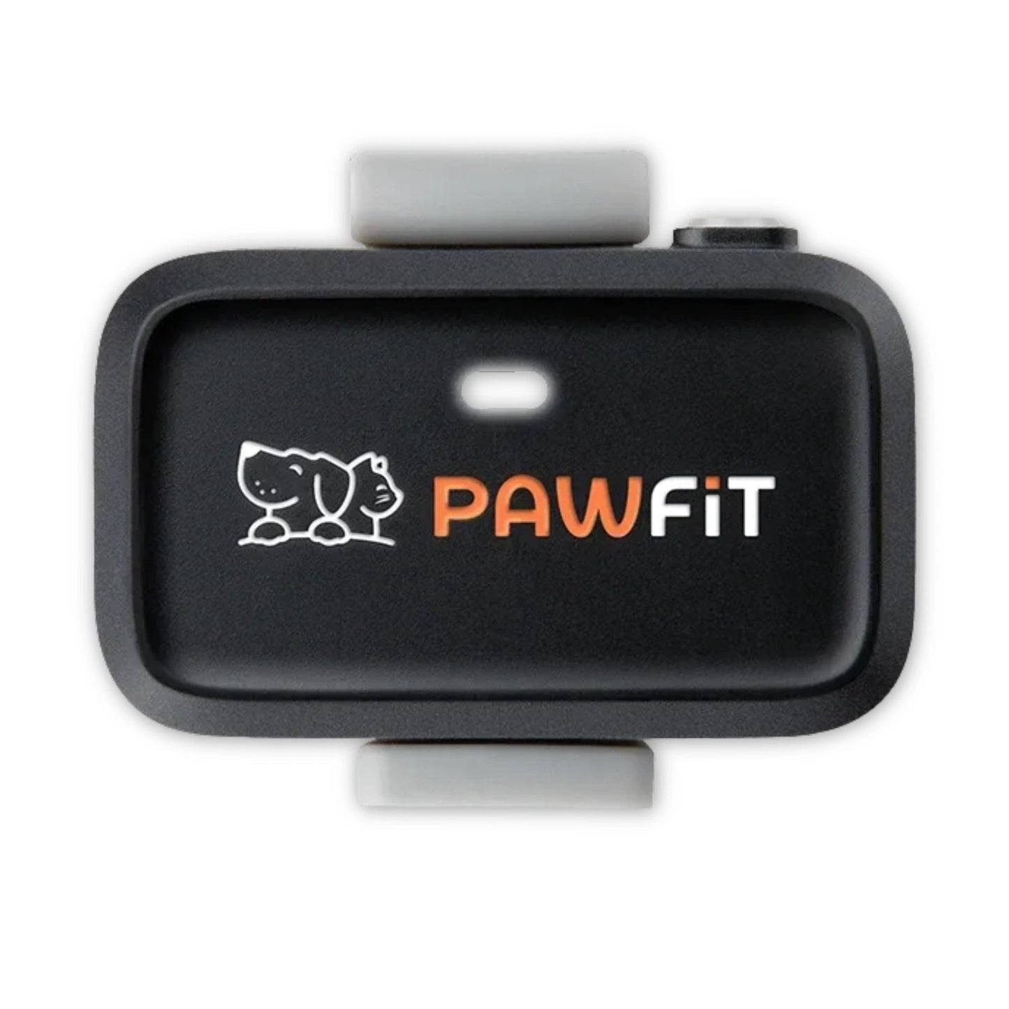 Pawfit Lite GPS Tracker for Dogs | Smallest 4G Activity Monitor | No More Missing Pets!