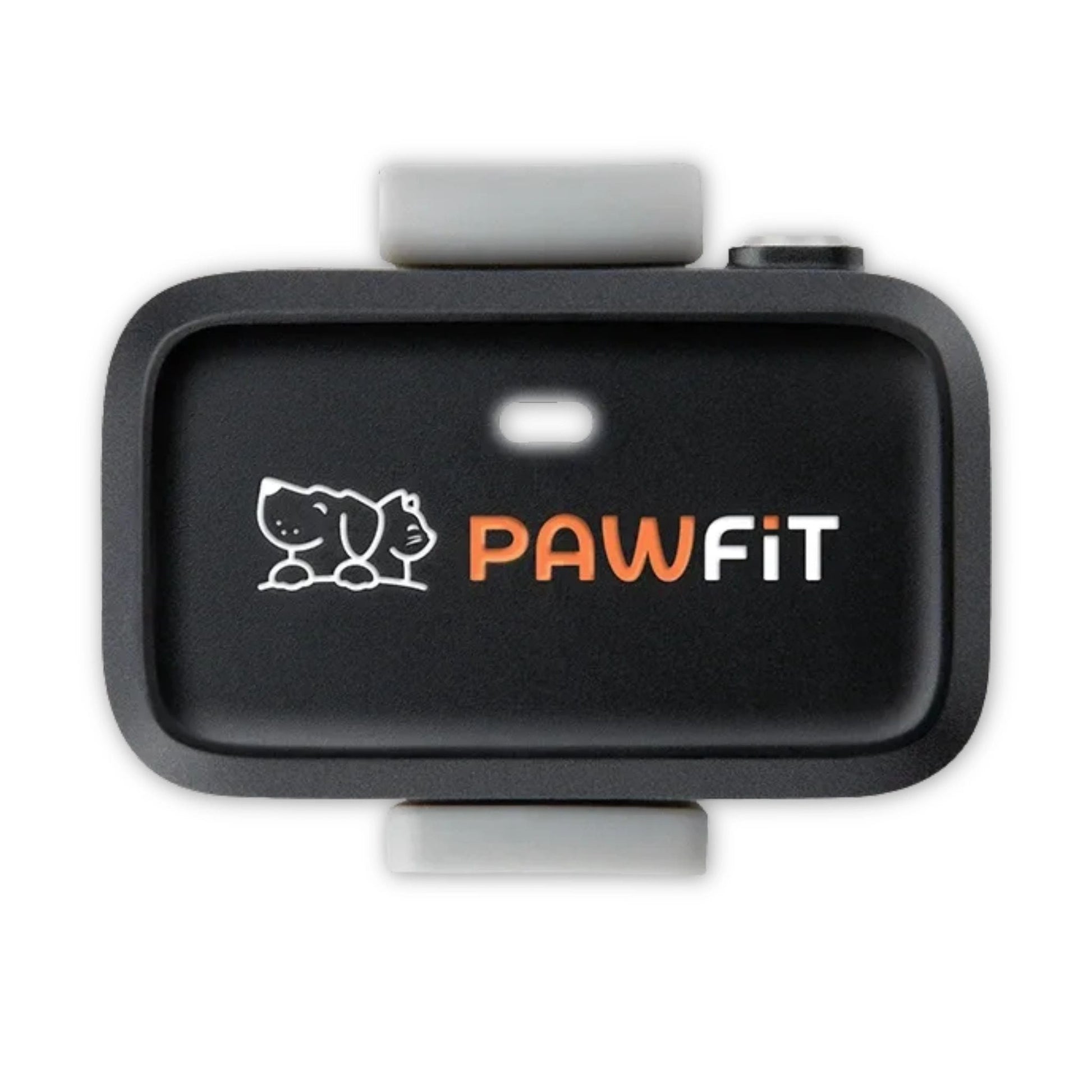 Pawfit Lite GPS Tracker for Dogs | Smallest 4G Activity Monitor | No More Missing Pets!
