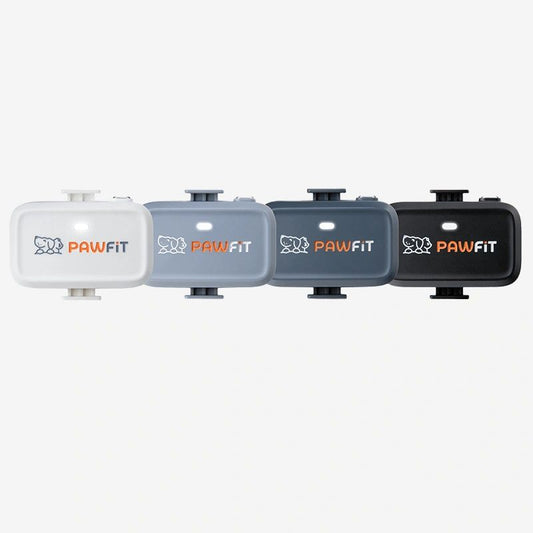Pawfit Lite GPS Tracker for Dogs | Smallest 4G Activity Monitor | No More Missing Pets!