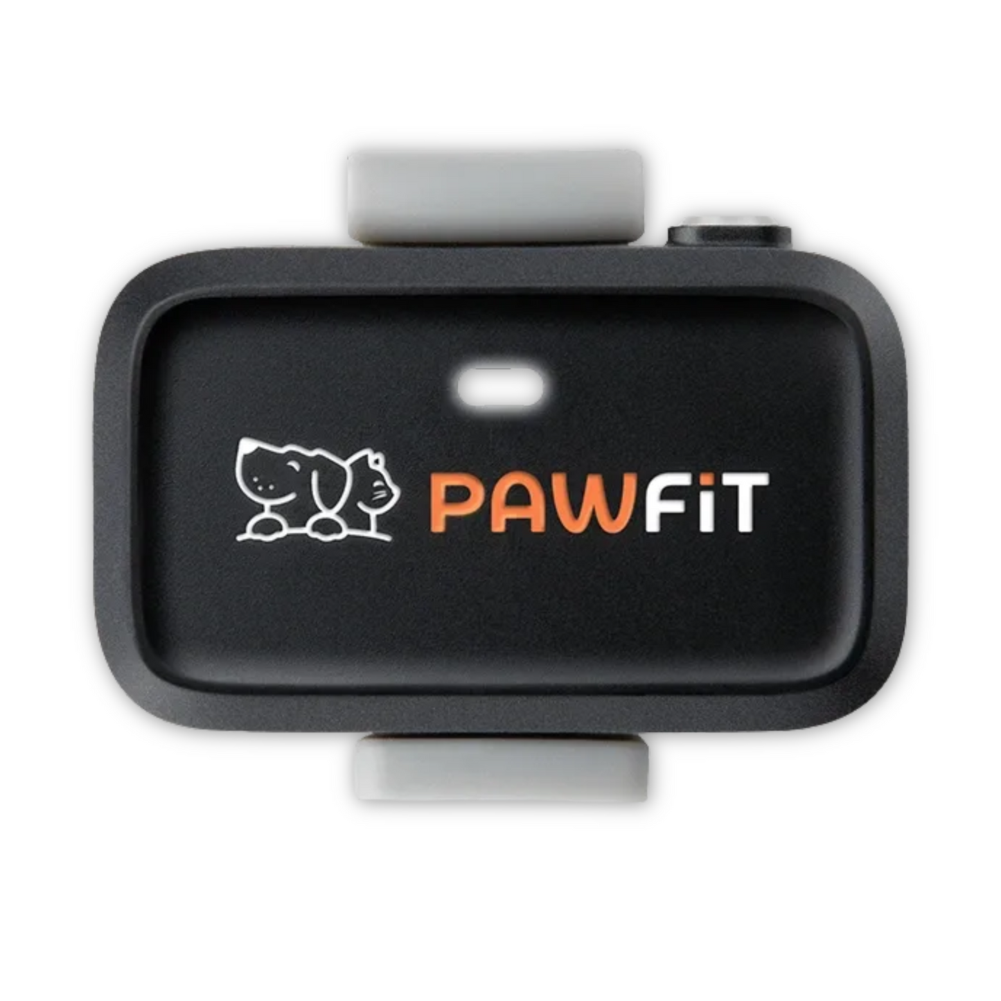 Pawfit Lite Cat Kit | Smallest GPS Cat Tracker + Spare Collar