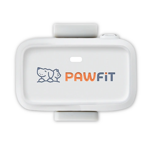 Pawfit Lite Cat GPS Tracker & Collar | Smallest 4G Activity Monitor | No More Missing Pets!