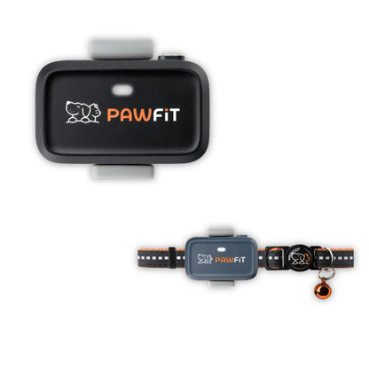 Pawfit Lite Cat Kit | Smallest GPS Cat Tracker + Spare Collar