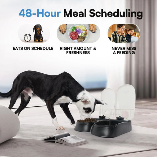 Pawise Automatic Cat & Dog Feeder with Ice Pack, 2-Meal Pet Wet & Dry Food Dispenser with 48-Hour Timer