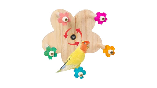 Rotating Ferris Wheel Parrot Toy