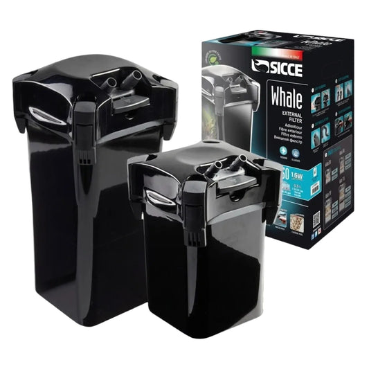 Sicce Whale 500 Aquarium Canister Filter | Ultra-Quiet High-Volume Filtration