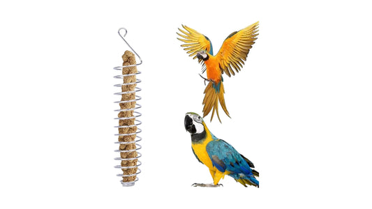 Stainless Steel Bird | Parrot Millet Or Fruit Feeding Hanger