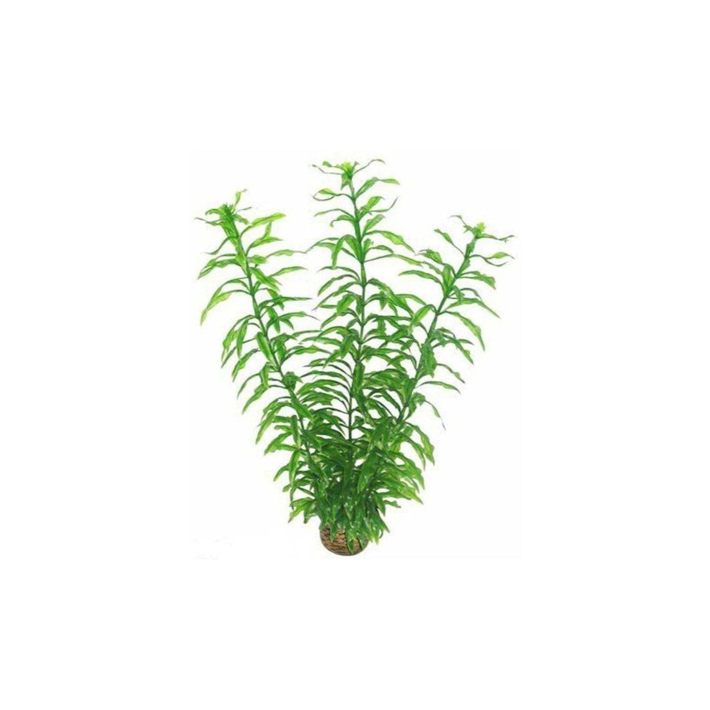 SuperFish Easy Plant High Artificial Aquarium Plant 30cm – A4070265