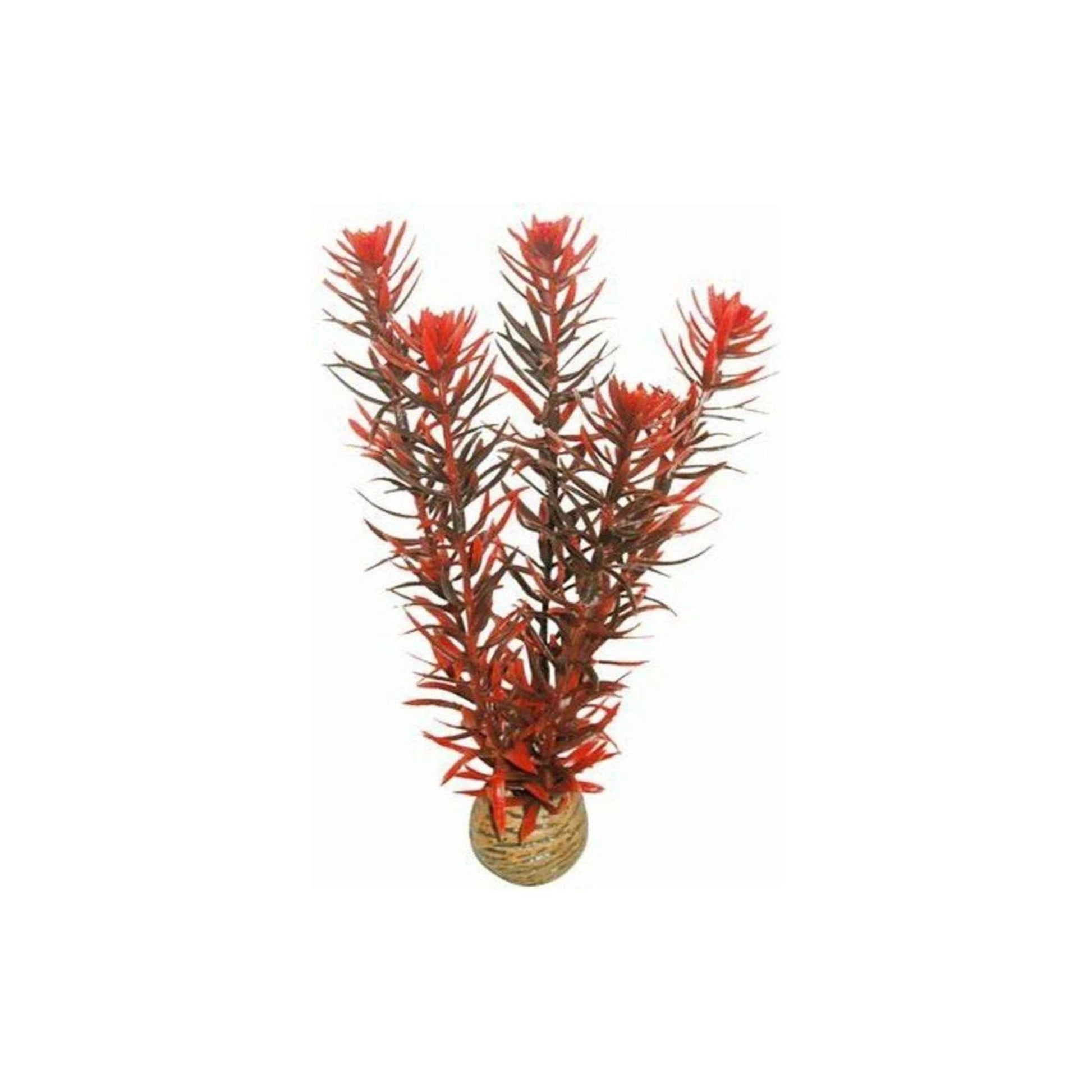 SuperFish Easy Plants Medium No.7 – Red Artificial Aquarium Plant 20cm