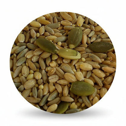 top's all in one seed parrot mix