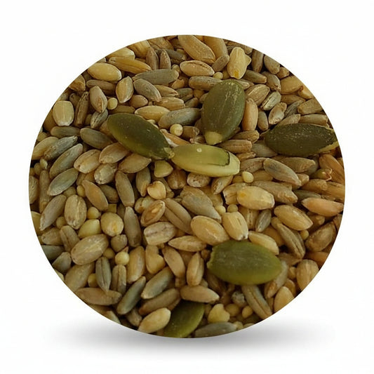 top's all in one seed parrot mix