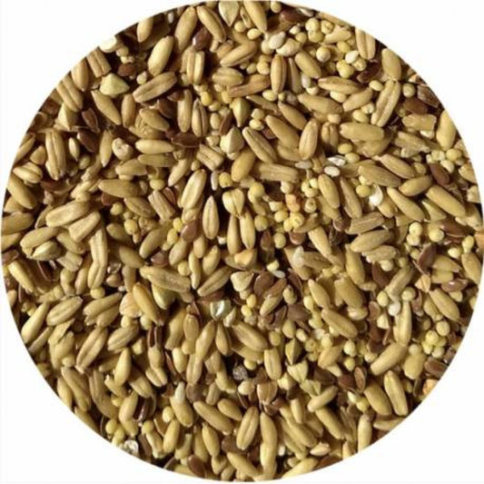 Tops Napoleon seed mix small parakeet