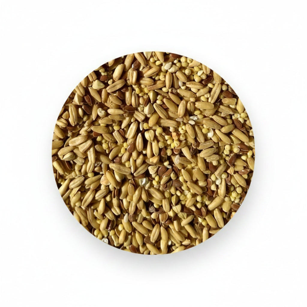 A circular close-up of mixed grain or seed pieces in tan, beige, and brown tones on a plain white background.