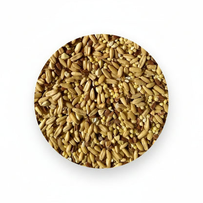 A circular close-up of mixed grain or seed pieces in tan, beige, and brown tones on a plain white background.