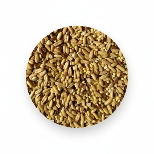A circular close-up of mixed grain or seed pieces in tan, beige, and brown tones on a plain white background.