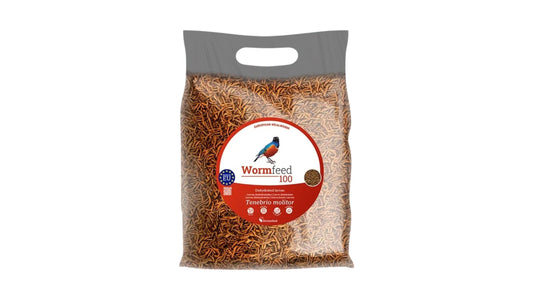 Larvae Of Tenebrio Wormfeed 100, 1kg ( Top Quality Dried Meal Worms ) Also Ideal For Tropical Fish