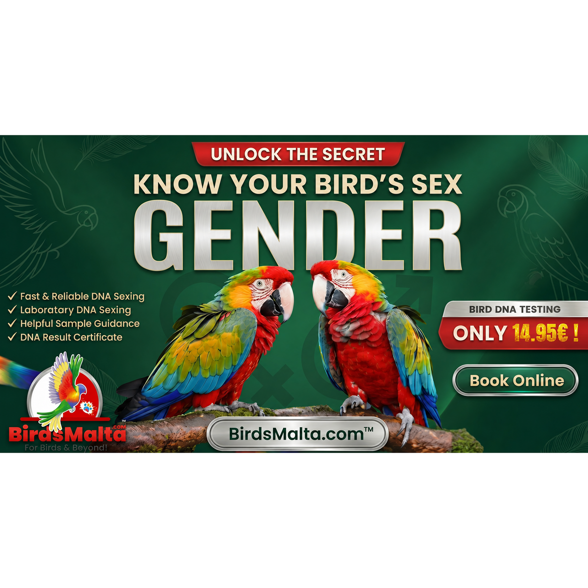 Two colourful macaws promoting BirdsMalta laboratory bird DNA sexing in Malta from €14.95, with sample guidance, a DNA result certificate and online booking.