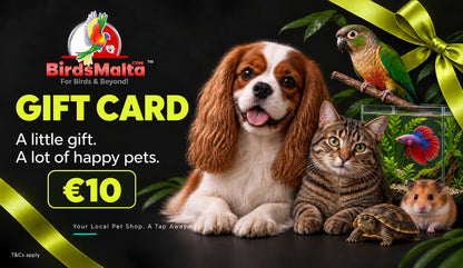 A promotional pet gift card featuring a brown and white Cavalier King Charles Spaniel, a tabby cat, a hamster, a turtle, a parrot, and a small fish in a terrarium on a black background with green leaves and yellow ribbon graphics. The Birds Malta logo and text read 'GIFT CARD', 'A little gift.