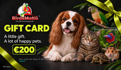 BirdsMalta €25 gift card promotional graphic with a Cavalier King Charles Spaniel, tabby cat, hamster, turtle, parrot, and fish tank on a black background with green leaves and yellow ribbon accents.