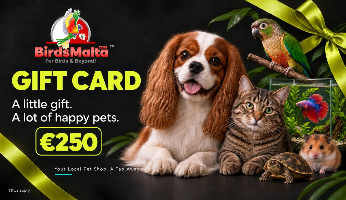 A promotional gift card for BirdsMalta featuring a Cavalier King Charles Spaniel, a tabby cat, a hamster, a turtle, a parrot, and a small fish in a terrarium against a dark background with green leaves and yellow ribbon graphics. Large text reads 'GIFT CARD', 'A little gift.