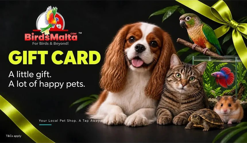 BirdsMalta gift card promotional graphic with a brown and white dog, a tabby cat, a small turtle, a hamster, a parrot, and a fish tank on a black background, with large yellow text reading 'GIFT CARD' and green ribbon graphics.