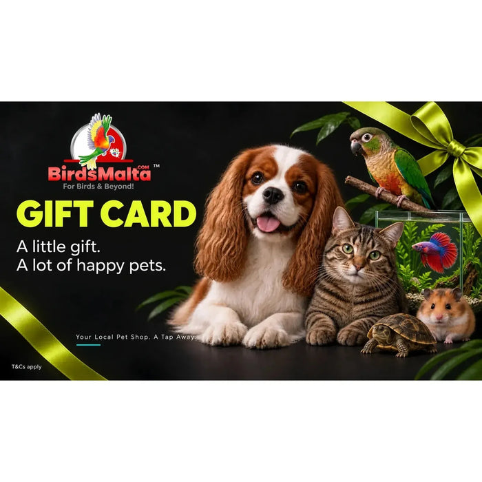 BirdsMalta gift card promotional graphic with a brown and white dog, a tabby cat, a small turtle, a hamster, a parrot, and a fish tank on a black background, with large yellow text reading 'GIFT CARD' and green ribbon graphics.