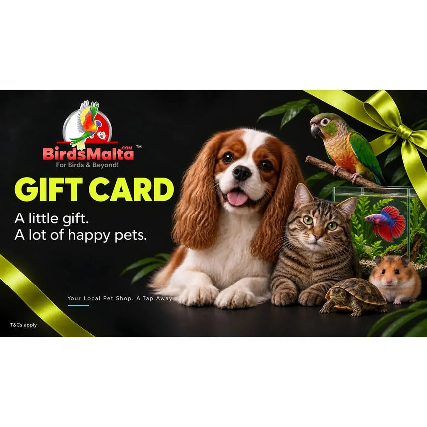 BirdsMalta gift card promotional graphic with a brown and white dog, a tabby cat, a small turtle, a hamster, a parrot, and a fish tank on a black background, with large yellow text reading 'GIFT CARD' and green ribbon graphics.