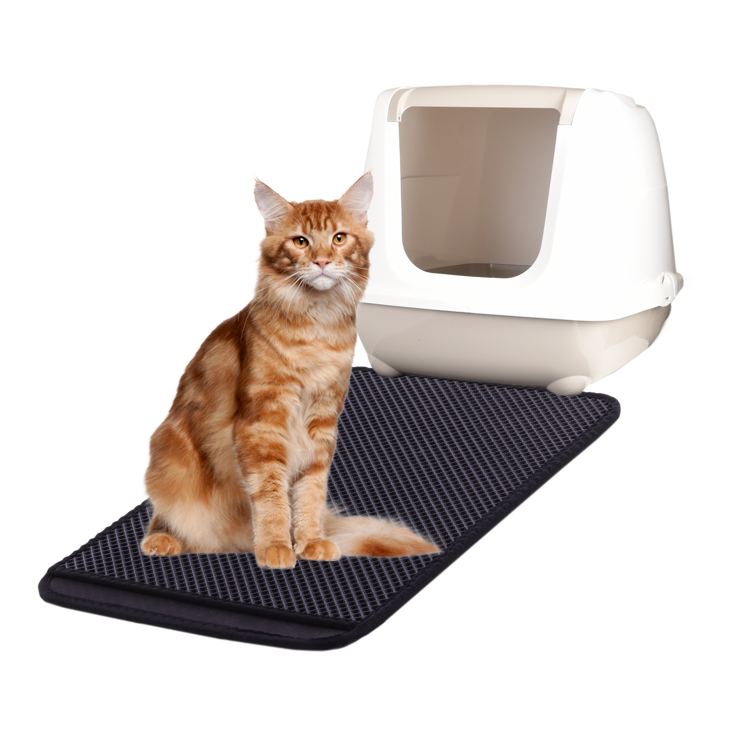 Flamingo Matz Double-Layer Cat Litter Mat