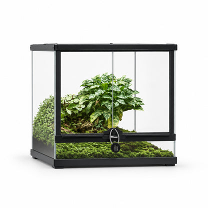 Terratlantis Smart Line 45 × 45 × 45cm black glass aquaterrarium