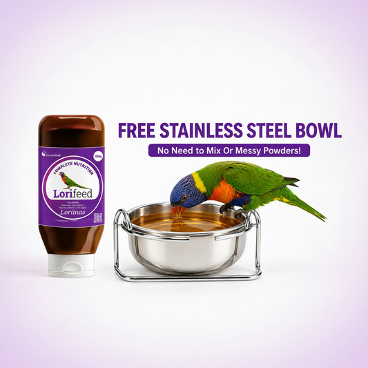 A Lorifeed bird supplement bottle next to a stainless steel bowl with a parrot drinking from it, with promotional text 'FREE STAINLESS STEEL BOWL' and 'No Need to Mix Or Messy Powders!' on a light purple background.