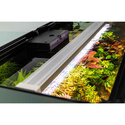 A close-up of an aquarium setup with a white LED light bar glowing over dense green aquatic plants and a reddish fish, with part of a black filter or heater visible on the left.