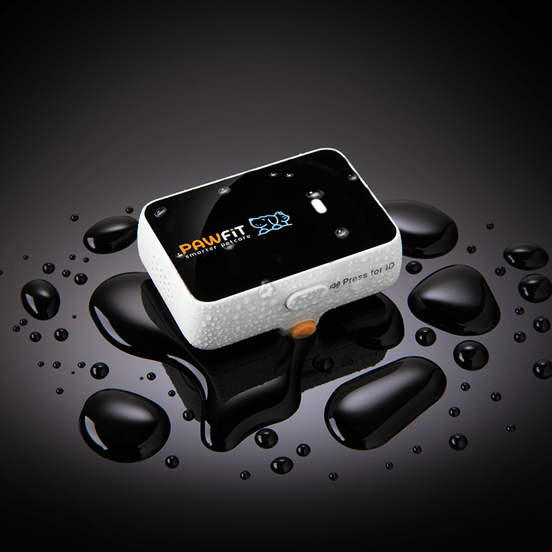Pawfit 3 GPS Dog Tracker The ultimate Waterproof & Adventure-proof GPS tracker.