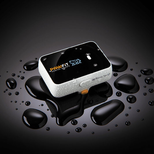 Pawfit 3 GPS Dog Tracker The ultimate Waterproof & Adventure-proof GPS tracker.
