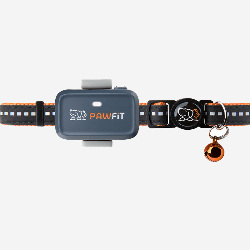 Pawfit Lite Cat Kit | Smallest GPS Cat Tracker + Spare Collar