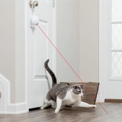 A gray and white cat stretches on a wood floor in front of a white door, with a red laser pointer line aimed at its body. A white laser target is attached to the doorknob above.